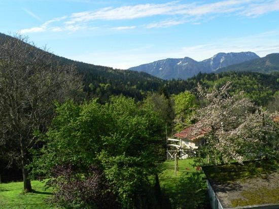 Fembacherhof Siegsdorf Eksteriør bilde